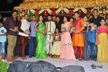 Srinivasa Kalyanam Movie Audio Launch Photos